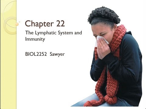 Chapter 22 Lecture Video