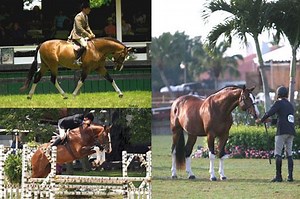 Popeye K - Alchetron, The Free Social Encyclopedia