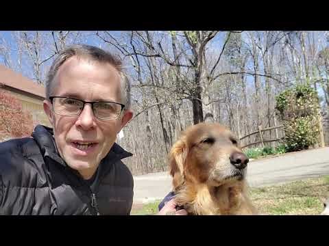 Python with Puppies (Lesson 4 - LOOPS)