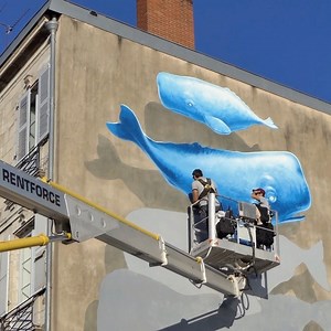 100K views · 2.6K reactions | Vous avez encore tout le week-end pour profiter du festival de street art Point de vue à Bayonne  | Pays basque | Facebook