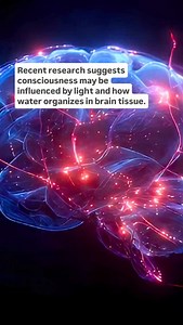 5.1K views · 1.5K reactions | THE DANCE OF LIGHT AND WATER Recent...