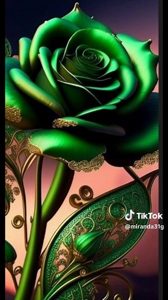 Videos de .. (@miranda31g) con “Corazon de Niño - Martin Mayer”