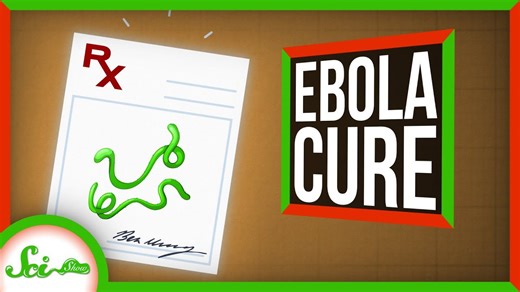 We can cure Ebola! (Mostly—Which is better than rarely) | SciShow News