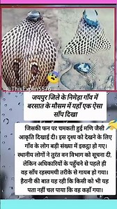 #sanjaymauryacomedian