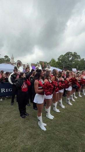 Experience the Georgia Bulldogs Marching Band Performance