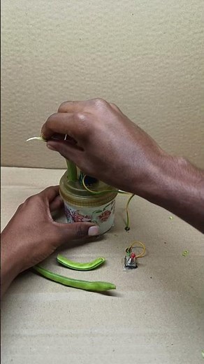 Efficient DC Motor Vegetable Cutting Mechanism for Quick and Easy Meal Prep Solutions.