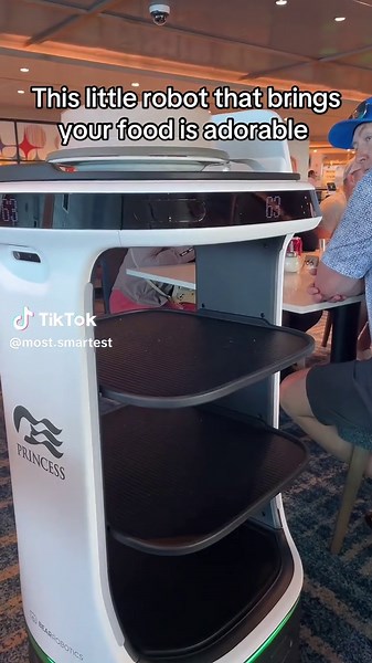 Adorable Robot Server at Princess Cruises