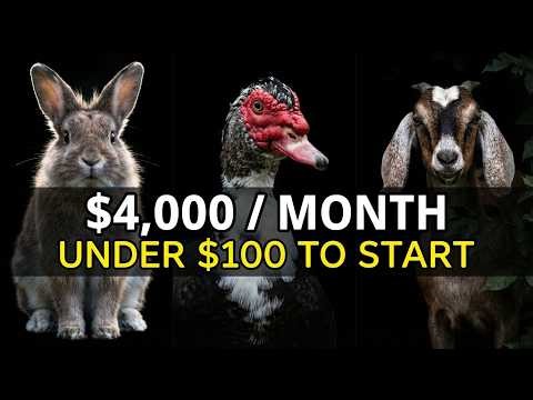 7 Animals That Cost Under $100 to Start and Make $4,000/Month