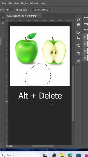 How to use the LASSO Remove object.