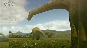 化石が生きていたのは？ | NHK for School