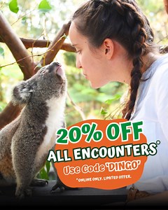 🌟 November Special! 🌟 Tick us off your family’s bucket list and enjoy 20% off behind-the-scenes Animal Encounters* with our zookeepers this month with Discount Code: DINGO! 🐾✨ Get up close and personal with some of the stars of the Australian Reptile Park—perfect for wildlife enthusiasts of all ages. Cuddle cute dingo puppies, meet our new Tassie devil joeys, or even FEED Australia's crankiest saltwater croc - if you dare! Bring the whole family for a wild day of adventure and hands-on fun. H