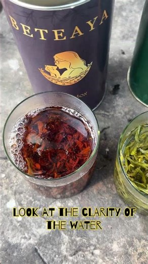 Real leaf tea #india #theothersideofmakebelieve #chaitea #trending #tea #viral #teatime #explore