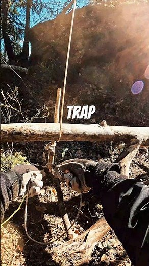 Trap #survival #trap #bushcraft (How To Make a Trap)