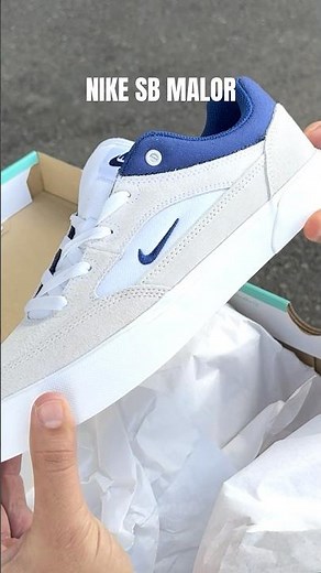 Dakota Reviews the Nike SB Malor