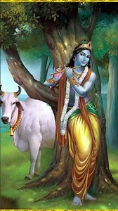 Bolo Pream se Bolo Radhe Radhe krishna #krishnamusic #viralssong #viralreels