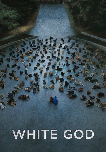 White God - movie: where to watch streaming online