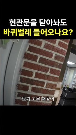 현관문 쪽에서 계속 바퀴벌레가 보여요 #바퀴벌레유입경로 #바퀴벌레퇴치