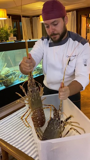 Cooking Lobster: A Chef's Guide to Preparing Seafood