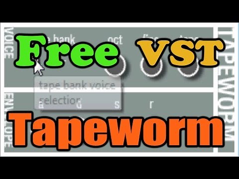 Tapeworm || Free VST Plugin || Mellotron emulation