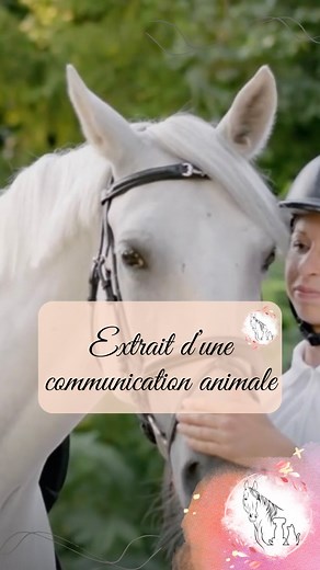 Extrait de communication avec un cheval #relation #cavalier #cheval #amour #ame #partage #partenaire #message #emiliecomanimale | Emilie Com'animale