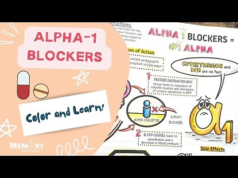 Alpha-1 Blockers Made Easy (Mnemonics, Mechanism of Action, Side Effects, Counseling Points)