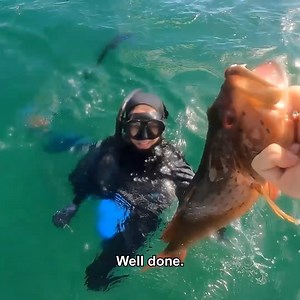 29K views · 920 reactions | Fish have no chance when the pro spear fishing hunters are around!  | Back 2 Basics Adventures | Facebook