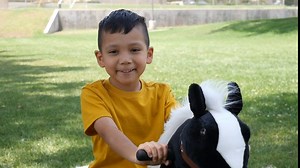 MEDALLION - My Pony Ride On Real Walking Horse for Children 12+ to Adults Or up to 200 lbs in Brown Color