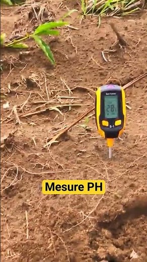 MEASURE SOIL PH WITH THIS DEVICE #agriculture