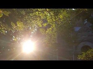 Christ Our Shepherd Church Live Stream