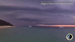 27K views · 951 reactions | "Picture Perfect" amazing storm structure and dolphins. What else can you ask for.  Weather report by: Tangalooma, QLD Have you captured an important weather event? Message us so we can help protect and feature your weather reports. Be storm ready by subscribing to our detailed forecast maps at https://higginsstormchasing.com/subscribe/ Media licensing available via Severe Weather Australia | Higgins Storm Chasing | Facebook
