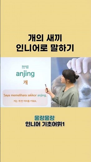 인도네시아어 기초회화 단어 배우기 #인도네시아어독학 #인도네시아어강의