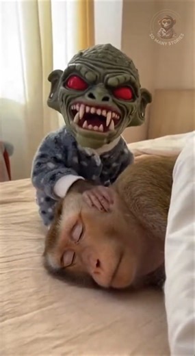 Baby Monkey Uses Goblin Mask Prank to Wake Up Mom 😂💀 | Absolute Funny Chaos #funny #monkey #shorts