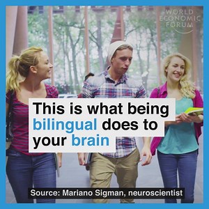 The benefits of being bilingual. Read more: http://wef.ch/2ulCroV | World Economic Forum