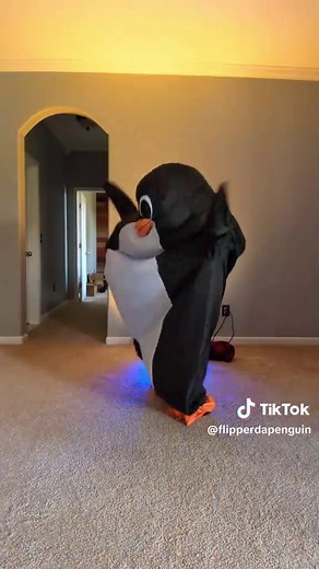 Flipper (@flipperdapenguin)’s video of wanna be dance