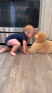 23K views · 605 reactions | Aww, so cute  Adorable baby and pets: https://tinyurl.com/2a3ogonr | Adorable and funny babies | Facebook