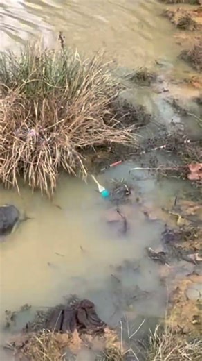 Caleb catches a catfish within a min!
