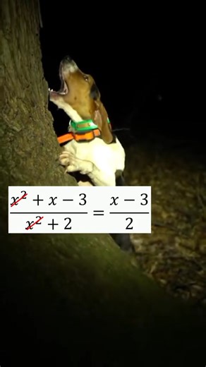 This math meme | Meme for mathematicians