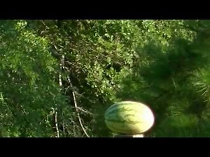 22 Magnum VS 30-30 Accelerator