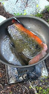 2.3K views · 55 reactions | Backpacking into Idaho's remote wilderness to Notellum Lake for epic trout fishing! Scott, my dog Ash and myself enjoyed this awesome adventure Into the wilderness which included, epic brook trout fishing and Gourmet backpacking meals cooked on the Firebox Overkill Nano wood burning ultralight backpacking stove. | Firebox Stove | Facebook