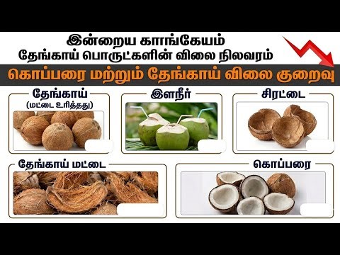 30.4.2026 🔥Today coconut market price|இன்றைய கொப்பரை& தேங்காய் நிலவரம்@Rkmcoconut