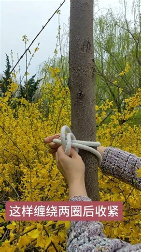 Master the Robust Fixed Lock Knot - Ultimate Knotting Tips