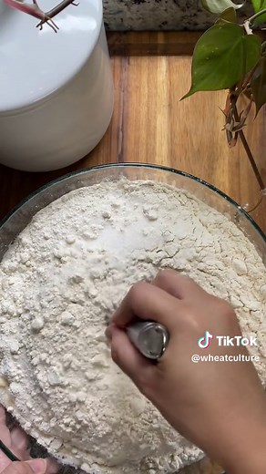 Wheat Culture Sourdough | Jess on TikTok