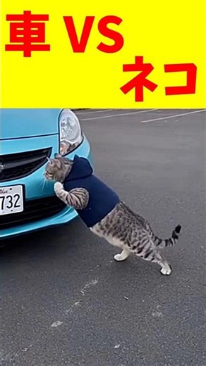車VSネコ、勝負の結果は・・・│Car vs. Cat, the result of the competition #shorts #ai #sora