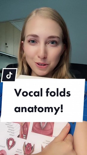 Exploring the Anatomy of Vocal Folds
