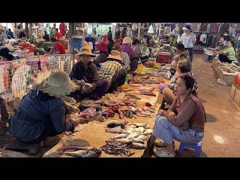 Amazing Cambodia Food Vlog In Province & The City And Wet Market