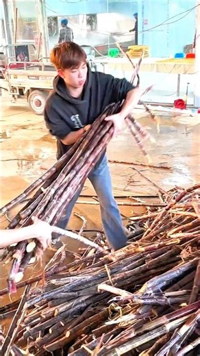 Complete Process of Making Sugarcane Jaggery #shorts