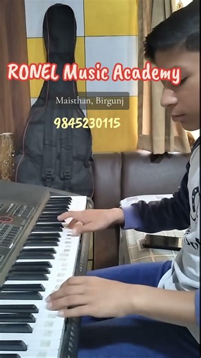 Music Class In Birgunj || Piano Class || Fur Elise Piano Cover