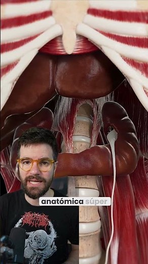 🧩🩺 Riñón en herradura: una variación anatómica más común de lo que crees
