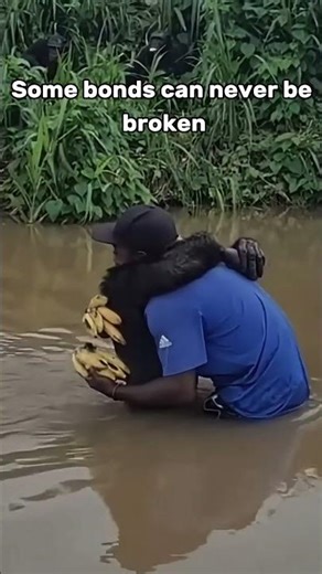 INCREDIBLE HUG He Never Forgot Him 😭 #shorts