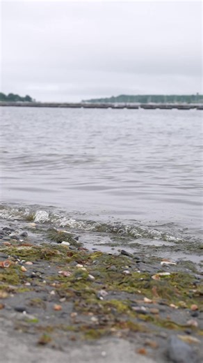 1.2K views · 935 reactions | Take a moment to breathe and soak in the scenery of Historic New England.  | Historic New England | Facebook